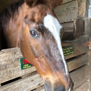 Meet your Posher, Roberts